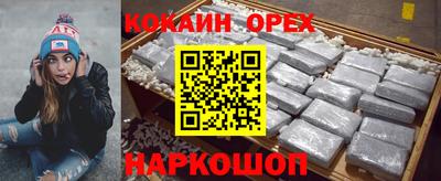 гашик Будённовск