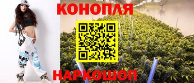 гашик Будённовск