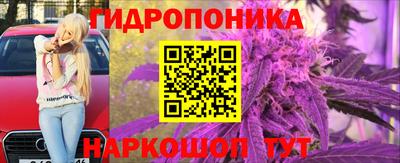 гашик Будённовск