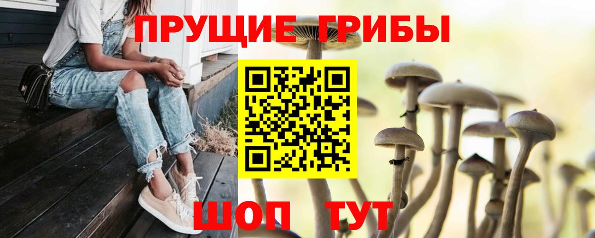 Серпухов  Галлюциногенные грибы MAGIC MUSHROOMS  Вход с VPN 